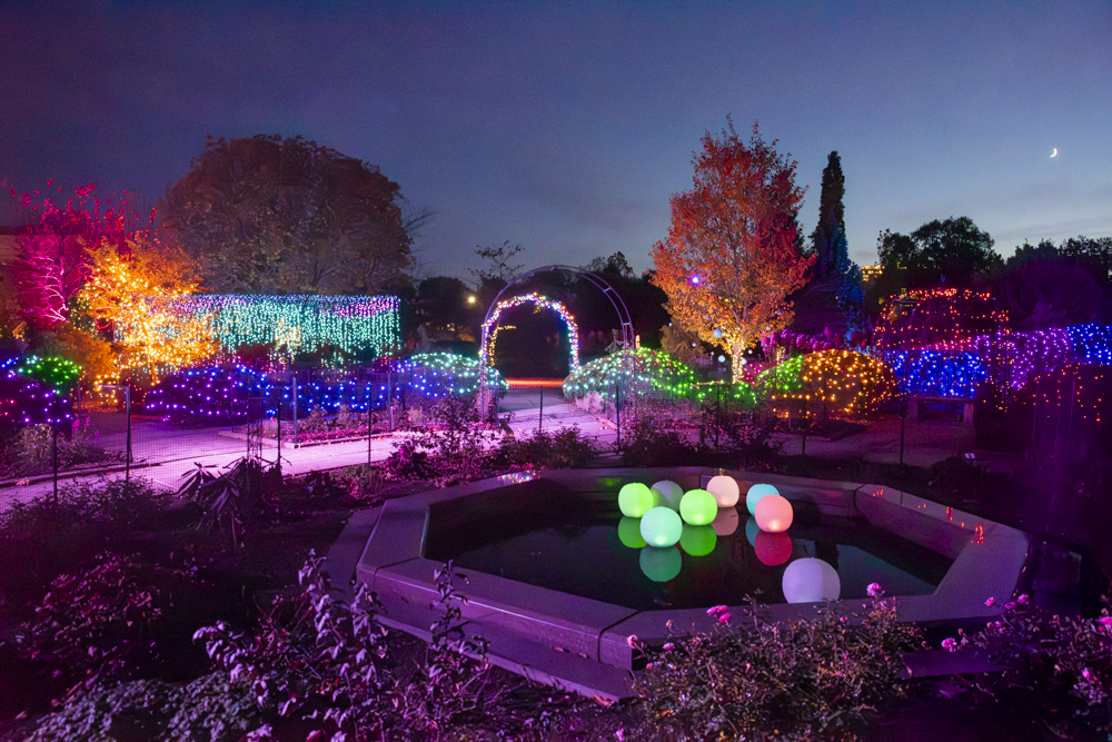 Frost – Cleveland Botanical Garden